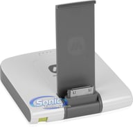 RFAM-0164 big