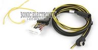 CNPALP1 small