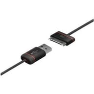 iCB21BLK small