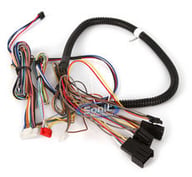 THAR-GM2 small