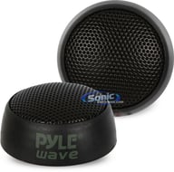 PLWT4 big