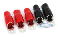 V8-RTN1 small