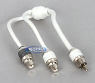 V10RCA-Y2 big