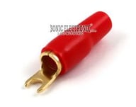 BS4RED small