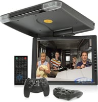 DFL1300IRG big