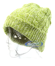 JOURNEY Sound Disk Beanie (Lime) big
