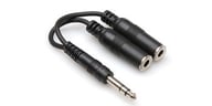 YPP-118 big