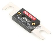FSANL100 small