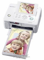 DPP-FP95 small
