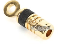 SPT828 small