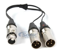 B4-3XLR big