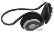LS-MM 100-OB big