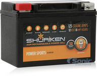 SK-BTX9-BS small