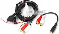 iC-RCA small