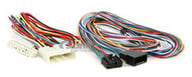HAK1B small