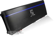 CD60.2DLX-2 big
