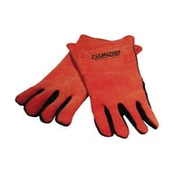 GLV15 big