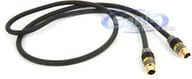 MVSV2-1M small