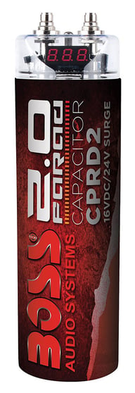 CPRD2 big