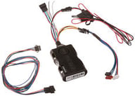 DSM300 small