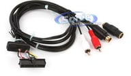 CCUXM1 small