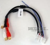 AMP-RCA small
