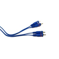 SSIB6 big