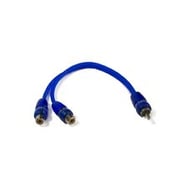 SSRCB2F small