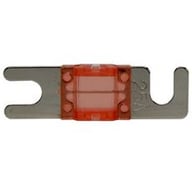 WW-Mini 25 small