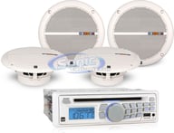 MXCP254 big