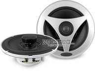 CMCX7.1s big