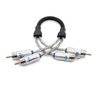 XIX2025 small