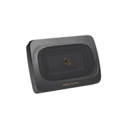 Basslink Mini-2 big