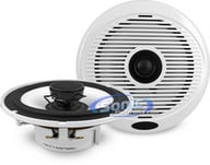 CMCX7.1 small