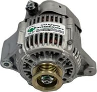 MG13339 small