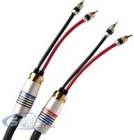 M2.2S ML-10/10 big