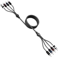 WWX-RCA 4CH 17FT small