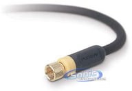 AV21300-06 small