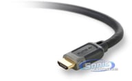 AV22300-12 big