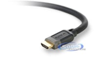 AV22300-06 big