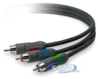 AM21001-06 big