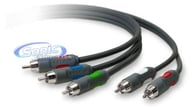 AM22111-06 big