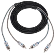 XIX22 small