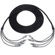 XIX46 small