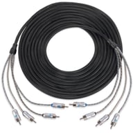 XIX43 small