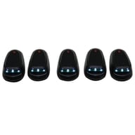 RS-1007602 small