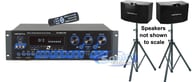 ASP-3808II big