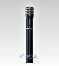 PG81-XLR big