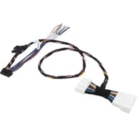 CP1-TSL1 small