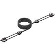 WWX-RCA-2CH1.5FT big